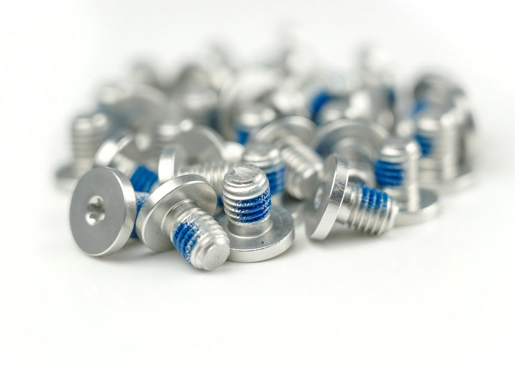 Satz 10x Schrauben Hanma silber