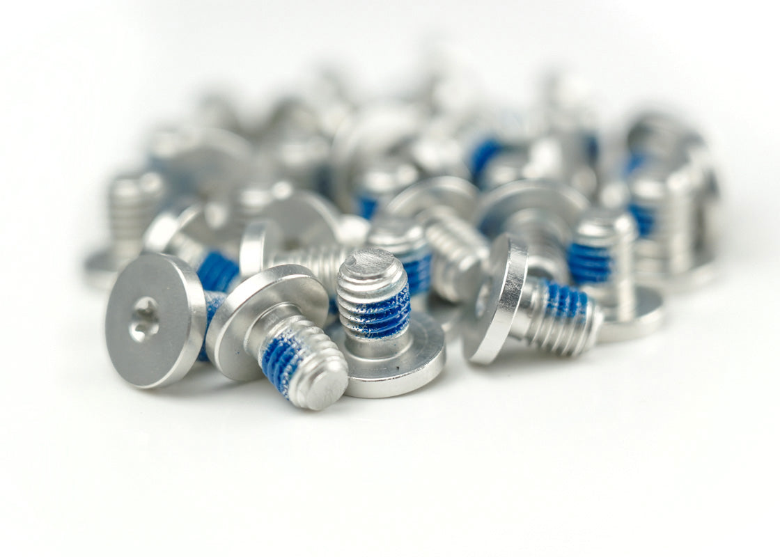 Satz 10x Schrauben Hanma silber