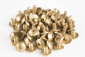 16-pc. Screw Set, Gold